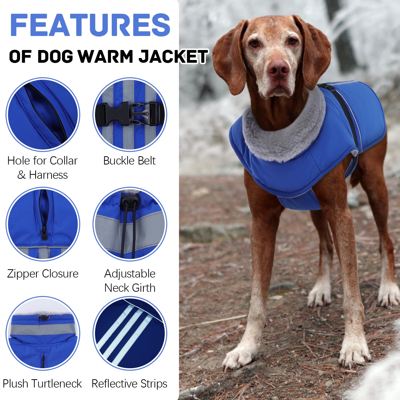 DENTRUN fleece-lined thermal dog jacket offers cozy insulation for cold-weather walks.