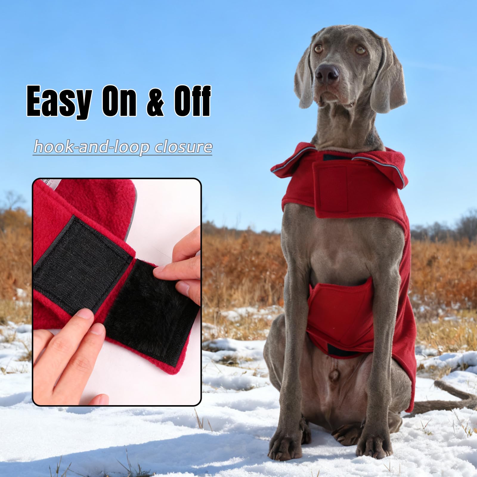 DENTRUN reversible and machine washable design simplifies cleaning
