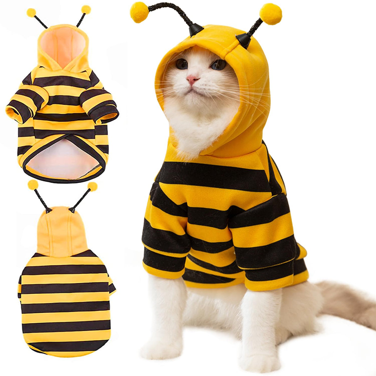 DENTRUN sphynx hairless bee-costume worn for warm indoor wear and cute moments.