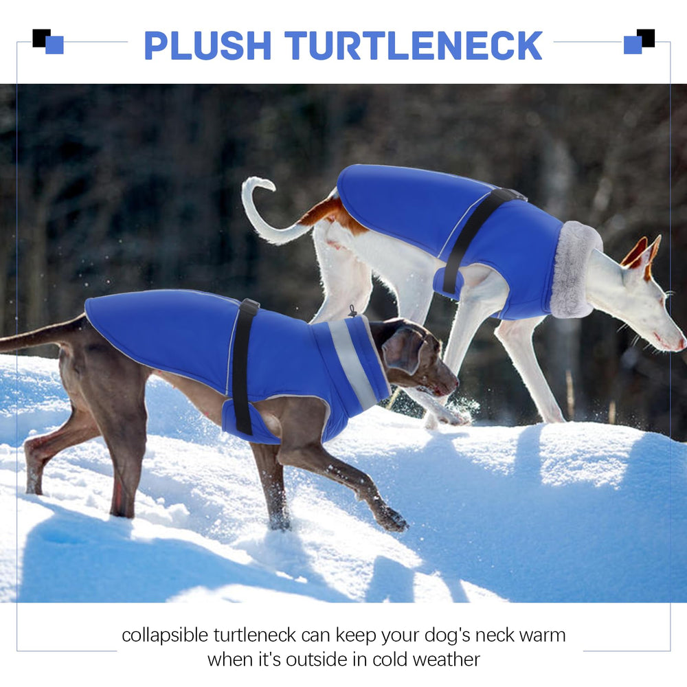 DENTRUN turtleneck collar coat provides extra neck warmth during strolls.
