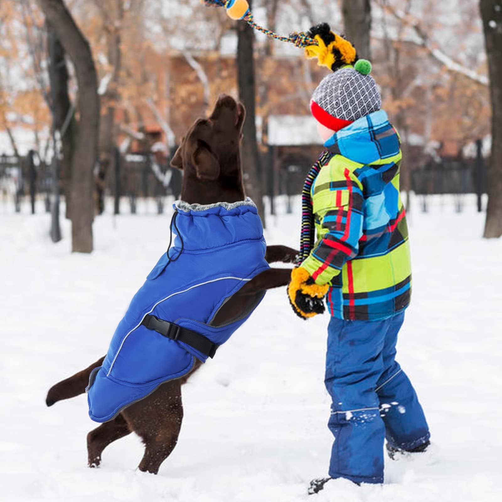 DENTRUN Winter Warm Dog Coat snow-walk ready for snows and outdoor adventures.