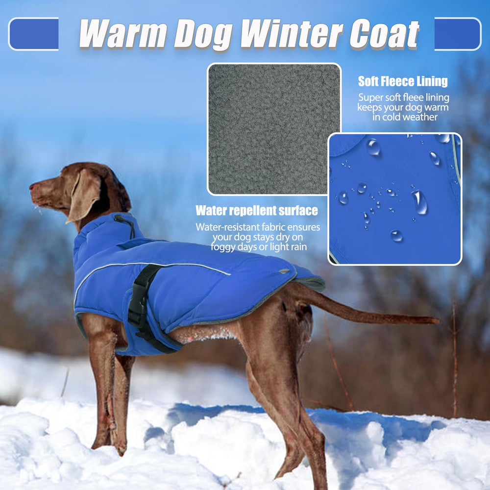 DENTRUN Winter Warm Dog Coat turtleneck detail for neck wind protection on chilly walks.
