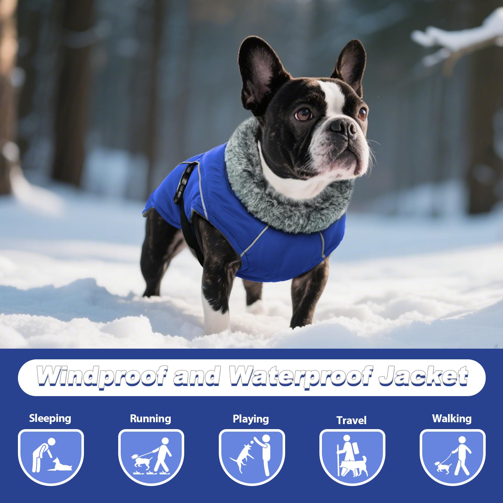 DENTRUN Winter Warm Dog Coat water-repellent outer shell keeps dogs drier in rain.