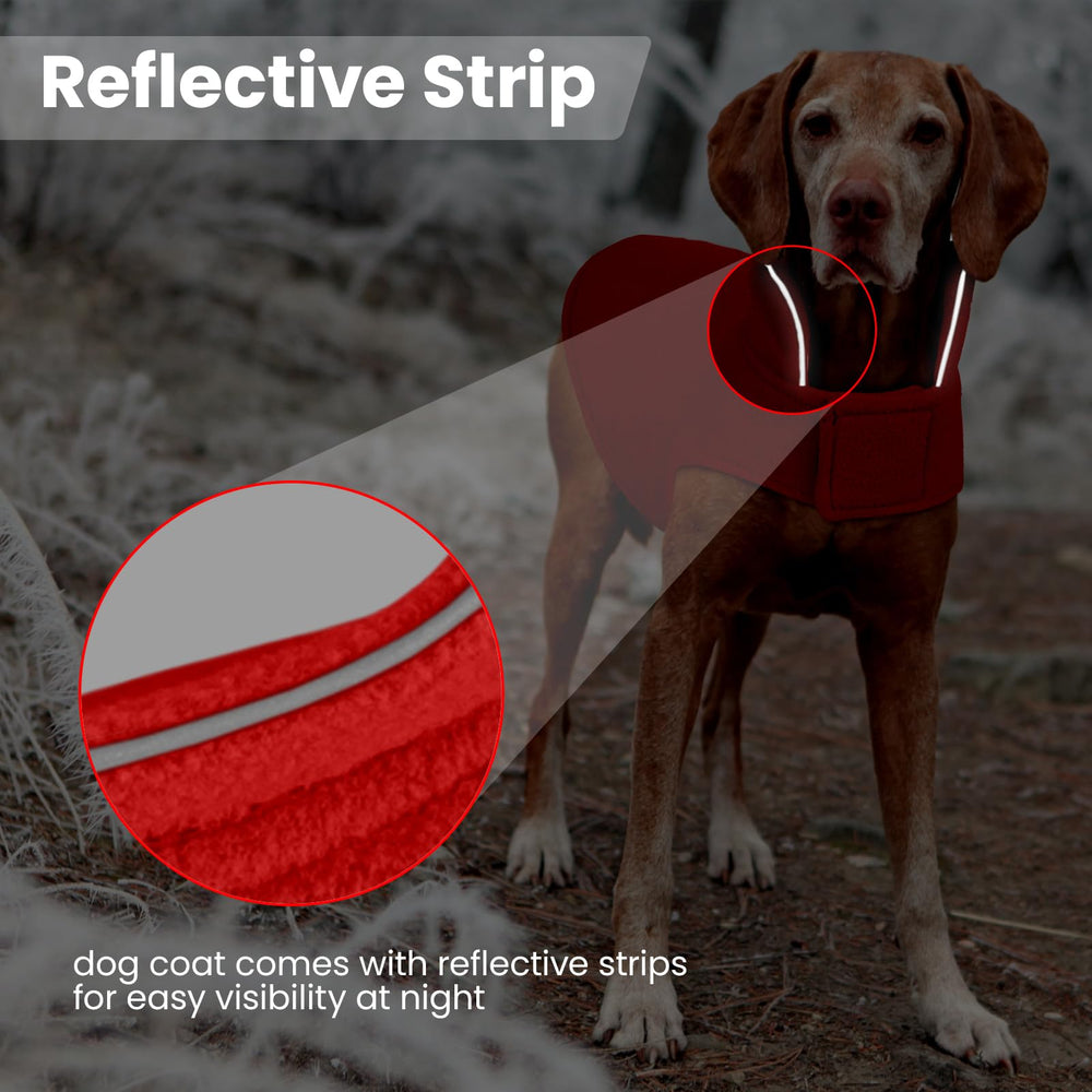 DENTRUN xs size option fits tiny breeds like Chihuahuas