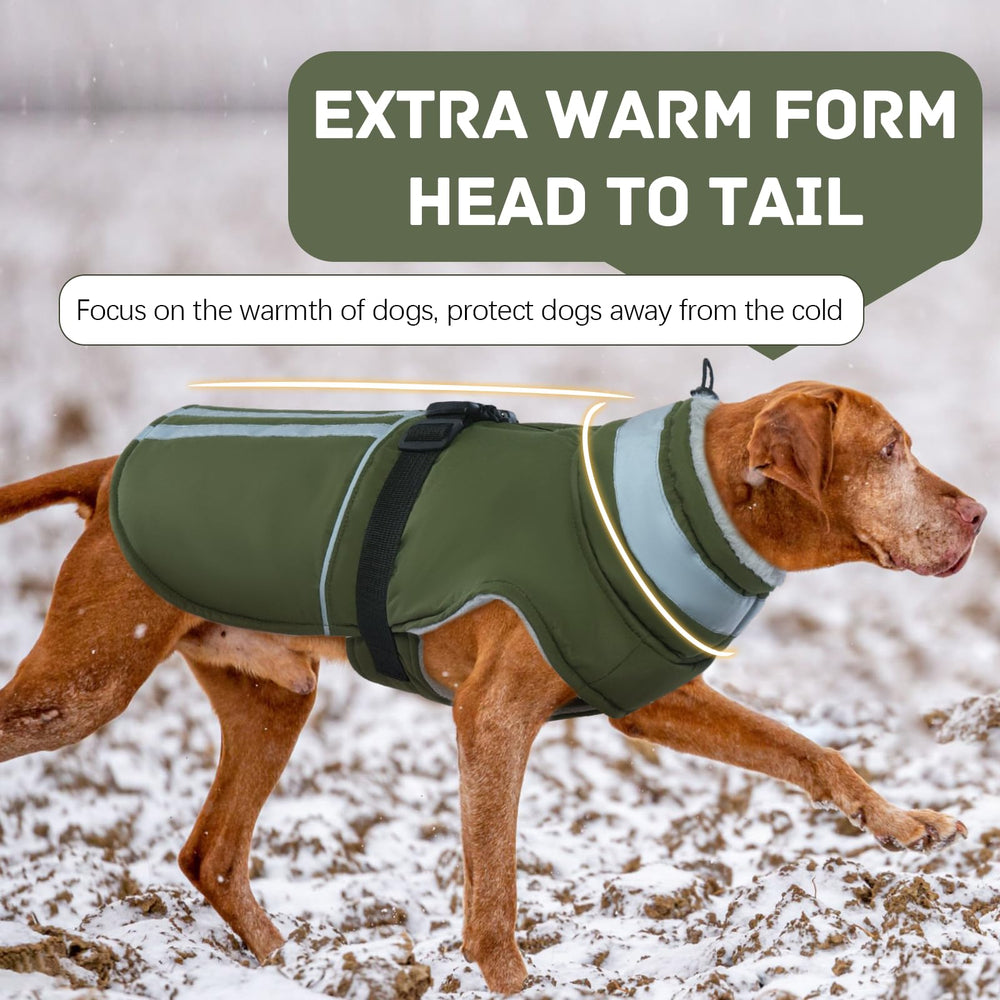 DENTRUN Reflective strip detail on the back for safer night walks.
