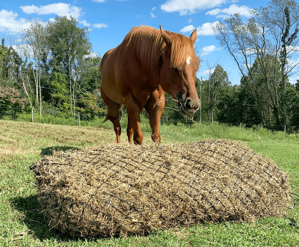 Derby Originals poly rope hay net highlights durability and easy soaking for cleaned feed.