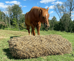 Derby Originals poly rope hay net highlights durability and easy soaking for cleaned feed.