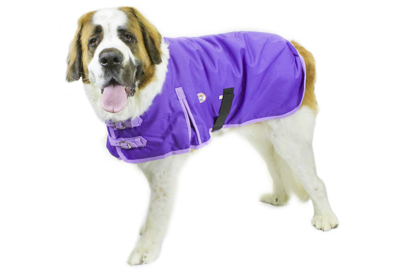 Derby Originals Ruff Pup coat shoulder gussets enable easy movement during winter walks.