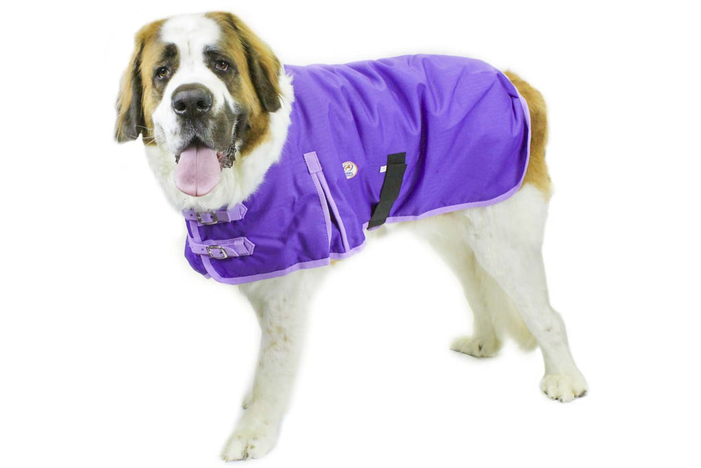 Derby Originals Ruff Pup coat shoulder gussets enable easy movement during winter walks.