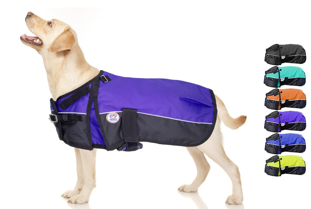Derby Originals Ruff-Pup coat 22in purple keeps dogs warm during winter walks.