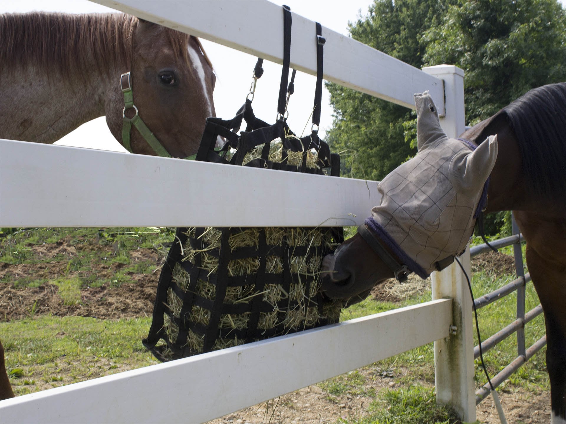 Derby Originals Supreme Hay Bag in use with horse grazing illustrates easy access and calm feeding