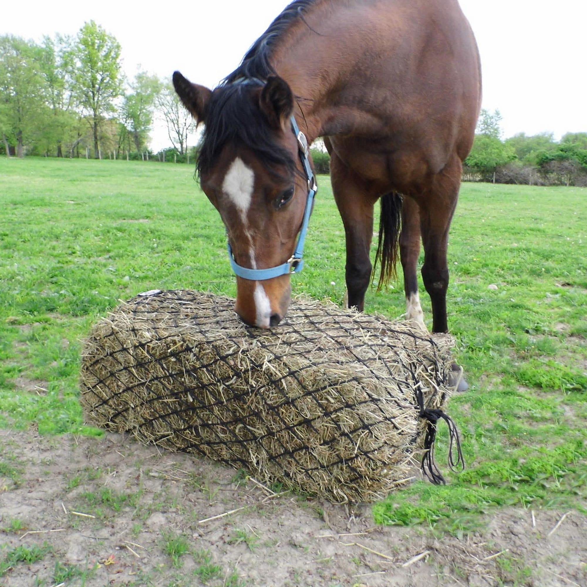 Derby Originals trailering setup shows safe transport of hay with nets.