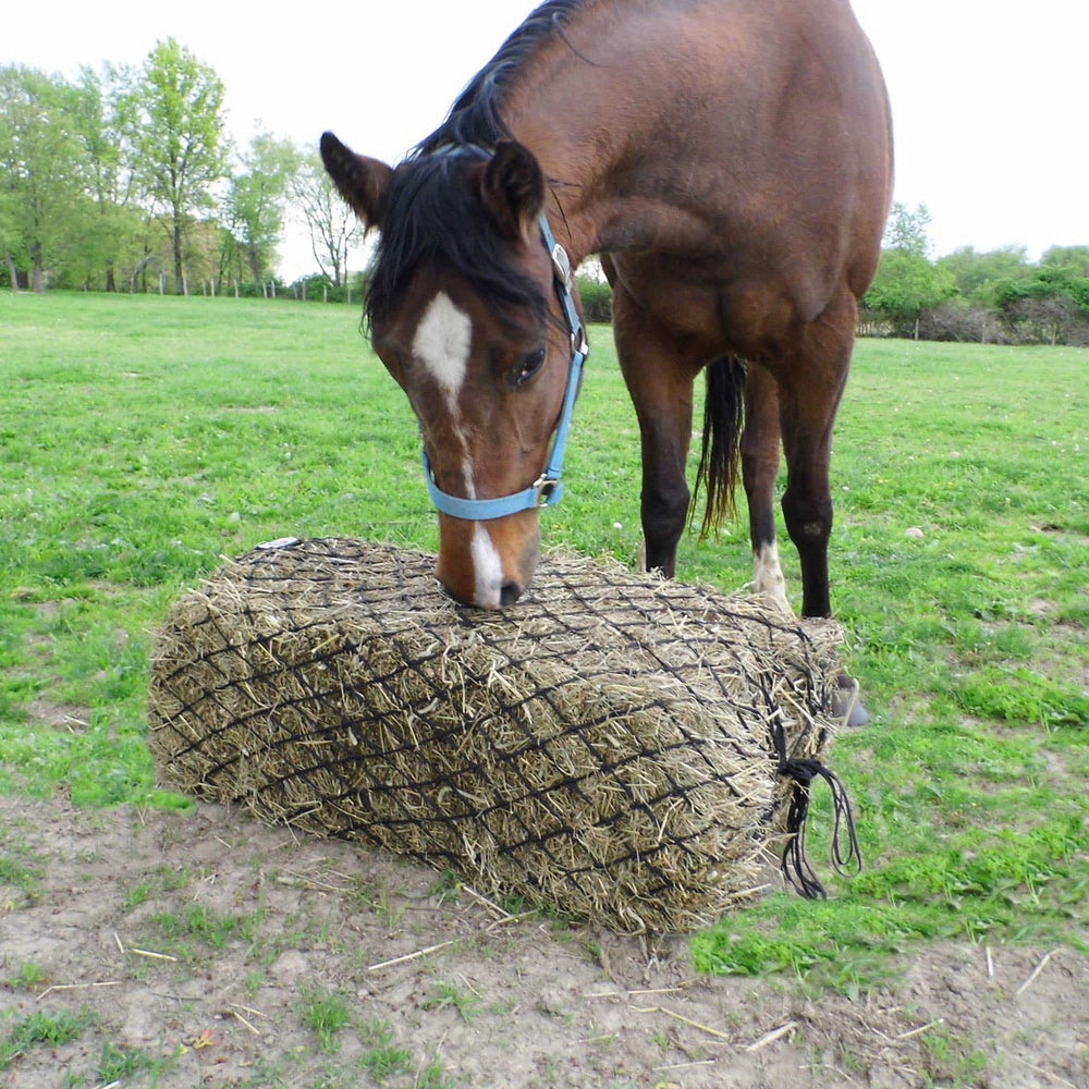 Derby Originals trailering setup shows safe transport of hay with nets.