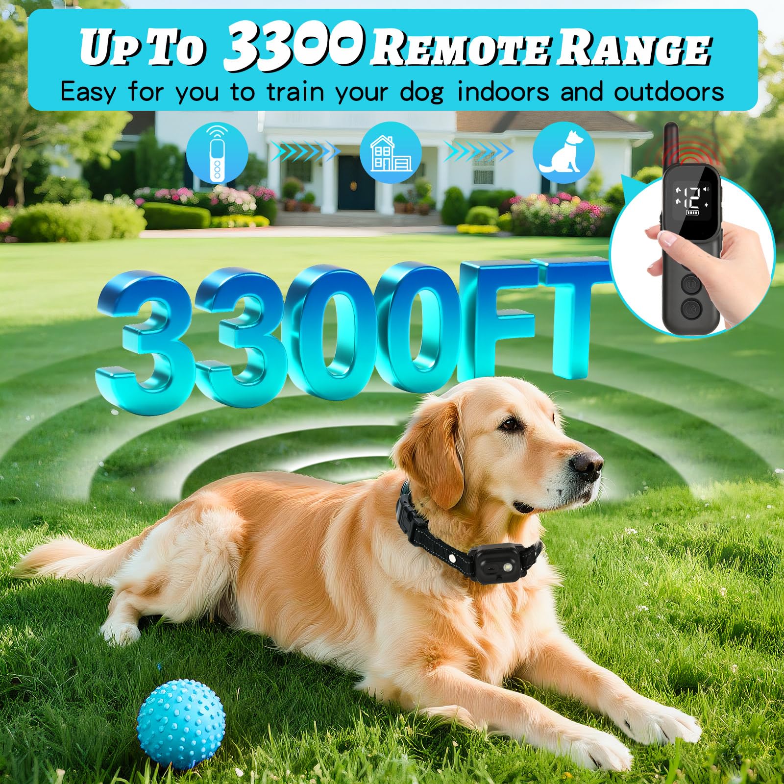 Dergo dog collar LED light enhances night visibility on walks
