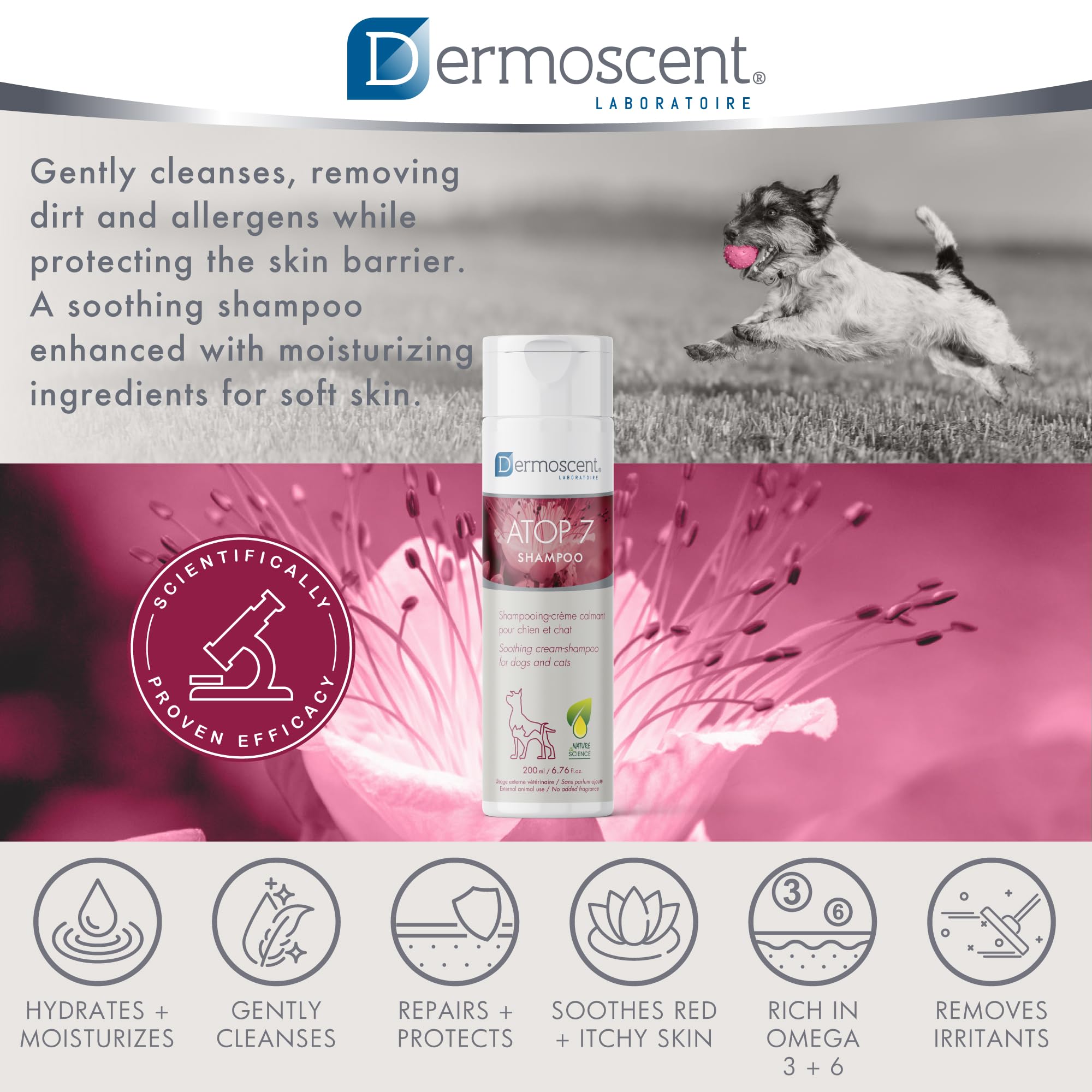 Dermoscent ATOP 7 Shampoo in routine grooming setup for allergy-prone skin