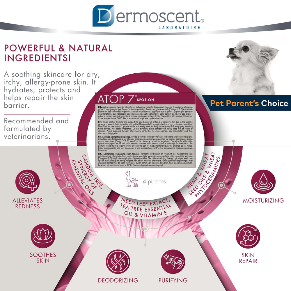 Dermoscent ATOP 7 spot-on no-rinse formula shown being absorbed after application