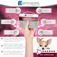 Dermoscent ATOP 7 spot-on wheat seed oils and phytoceramides close-up