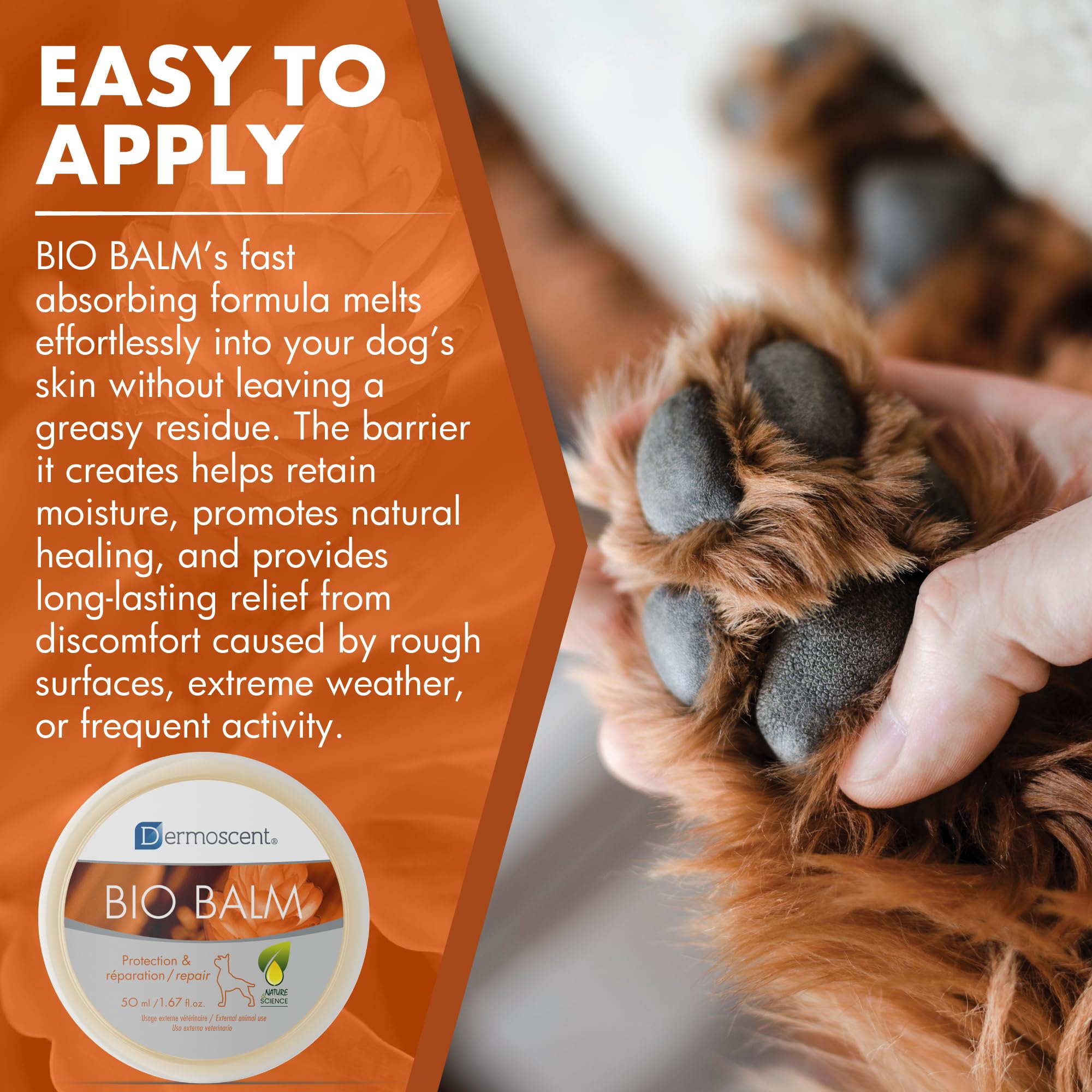 Dermoscent Bio Balm dog-nose-application illustrates simple nightly healing for dry noses.