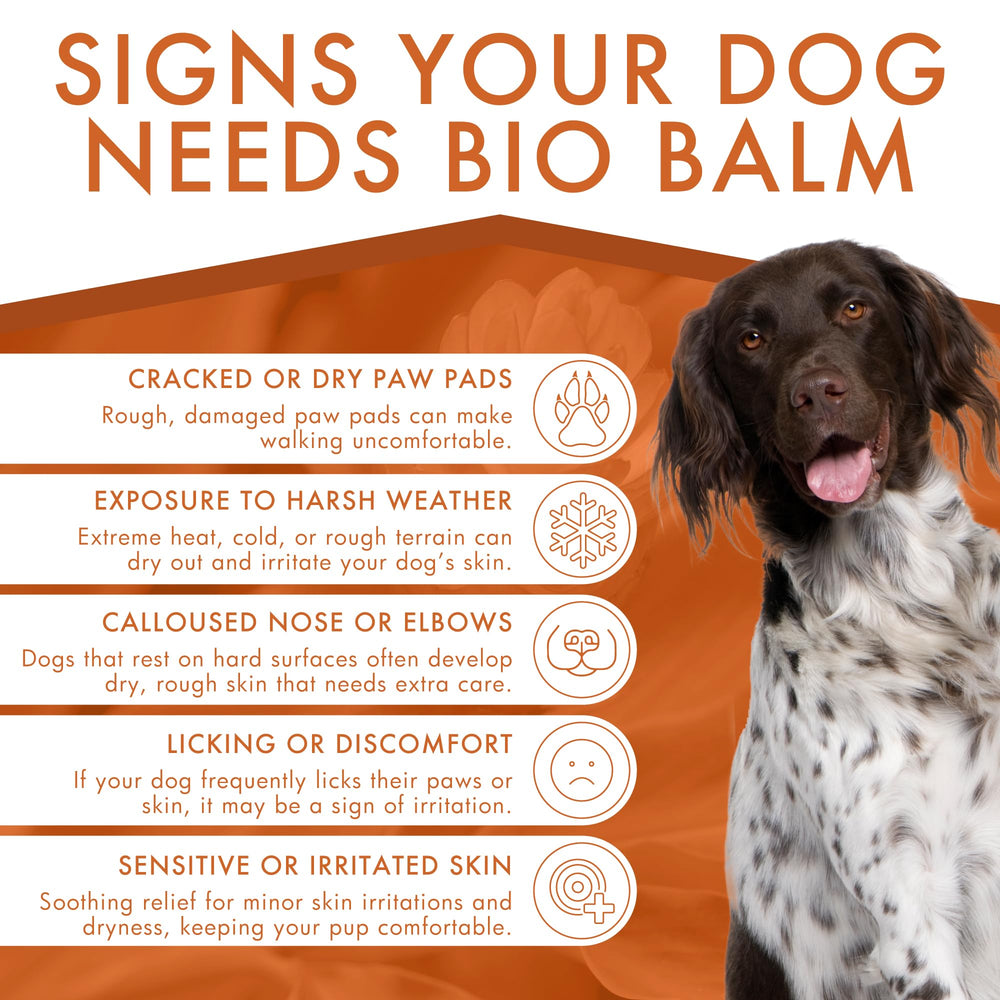 Dermoscent Bio Balm dry-paws-closeup highlights moisturized, softened paw pads.