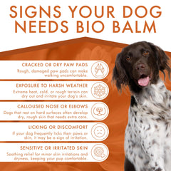 Dermoscent Bio Balm dry-paws-closeup highlights moisturized, softened paw pads.