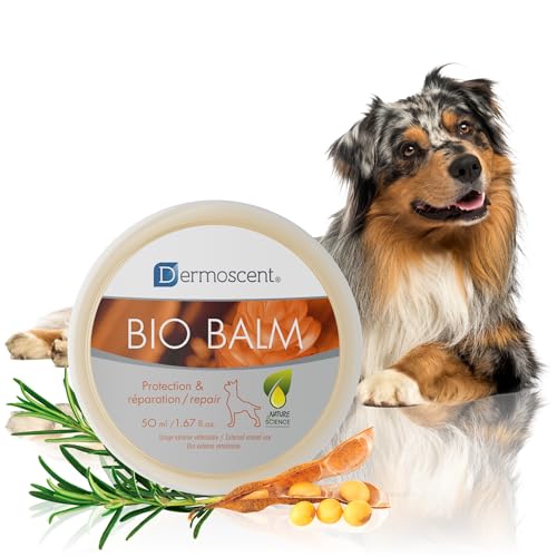 Dermoscent Bio Balm gift-ready-packaging conveys ready-to-gift paw care.