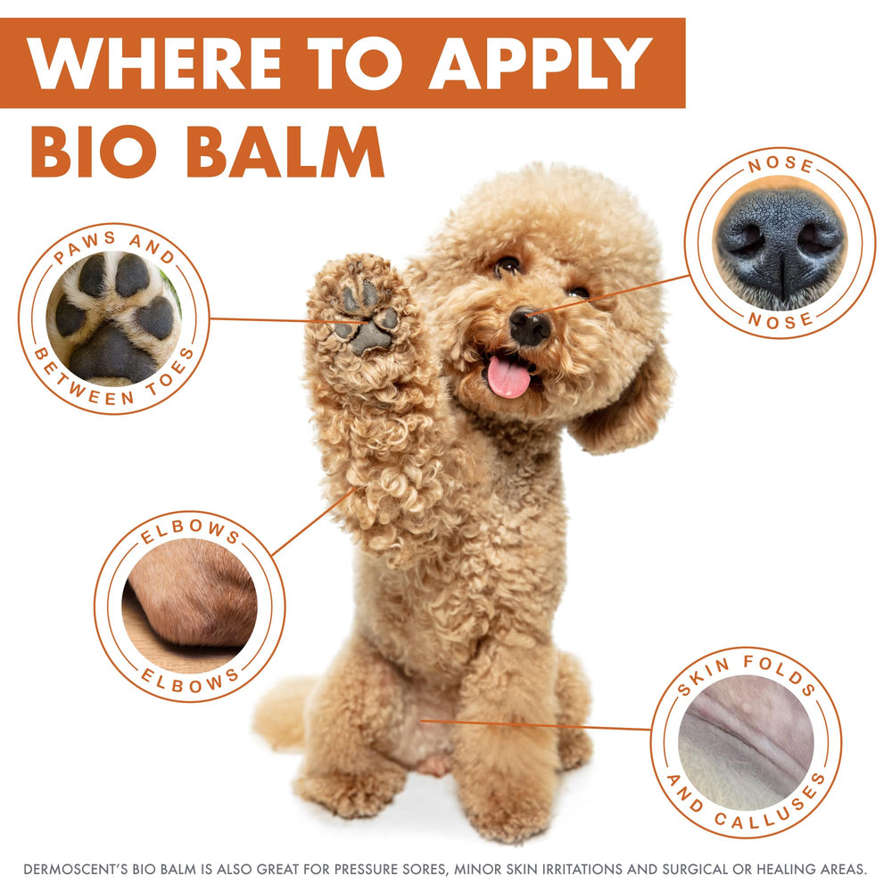 Dermoscent Bio Balm hyperkeratotic-nose image emphasizes soothing protection for rough noses.