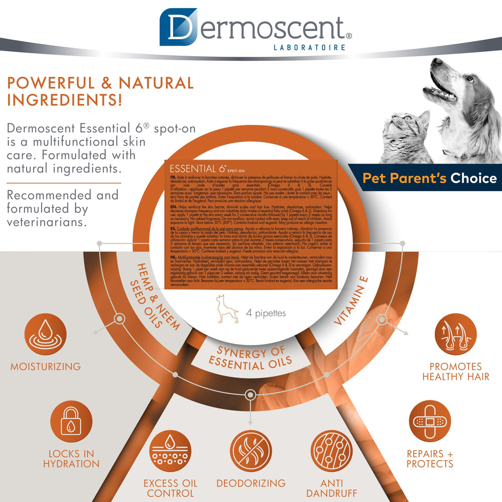 Dermoscent Essential 6 targets dandruff and flaky patches on dogs.
