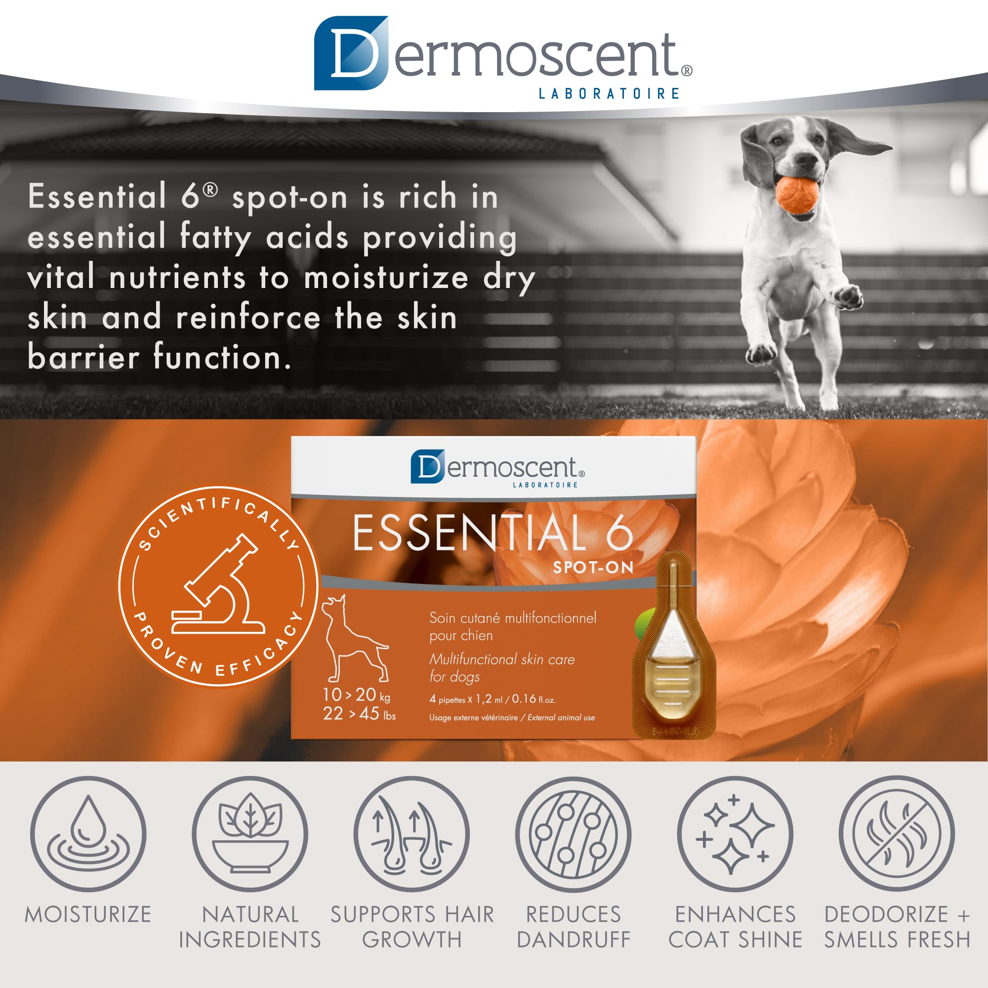 Dermoscent Essential 6 healthy coat shine on a dog.