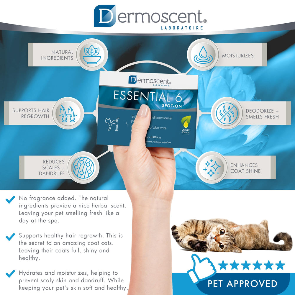 Dermoscent Essential 6 odor-control image highlights lasting deodorizing effect