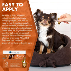 Dermoscent Essential 6 spot-on coat close-up shows shine and healthy fur.