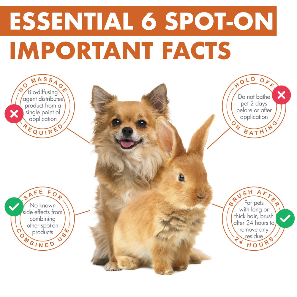 Dermoscent Essential 6 spot-on skin hydration effect visible on fur and skin.
