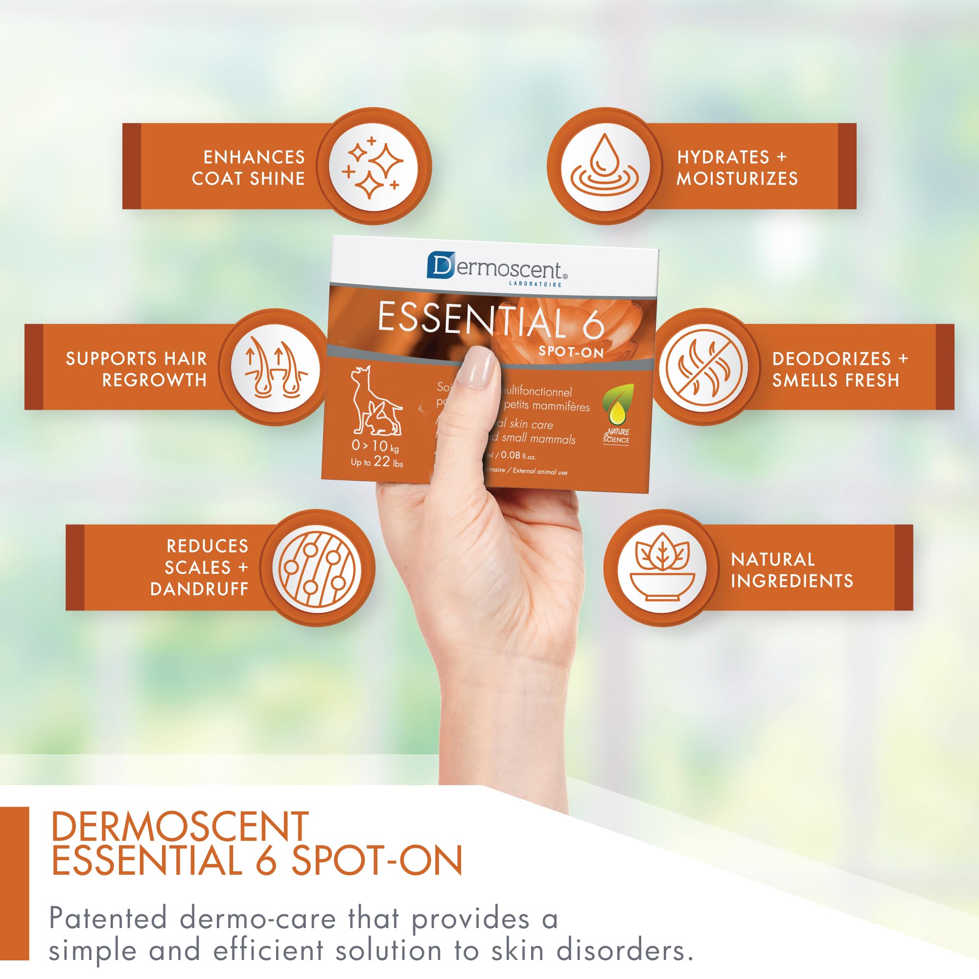 Dermoscent Essential 6 spot-on vet-recommendation label on packaging.