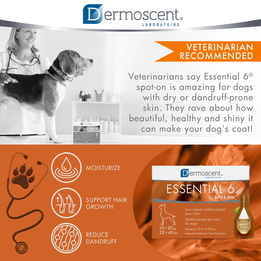 Dermoscent Essential 6 vet-formulated dermatology label on bottle.