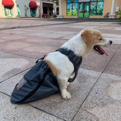 derYEP Dog Drag Bag quick-lock buckles enable fast secure fitting