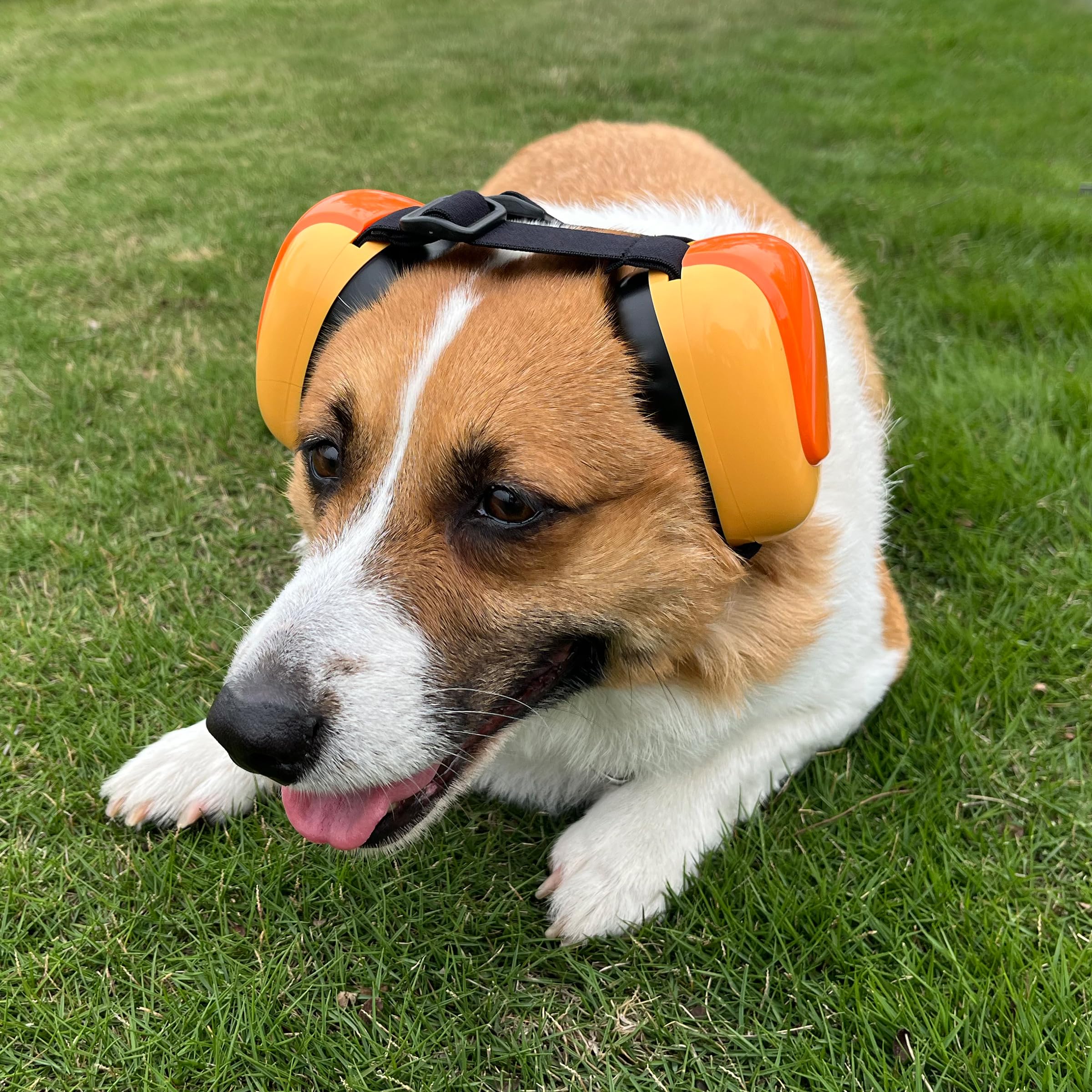 derYEP Dog Earmuffs GEN2 padded cups provide soft, comfortable wear during grooming.