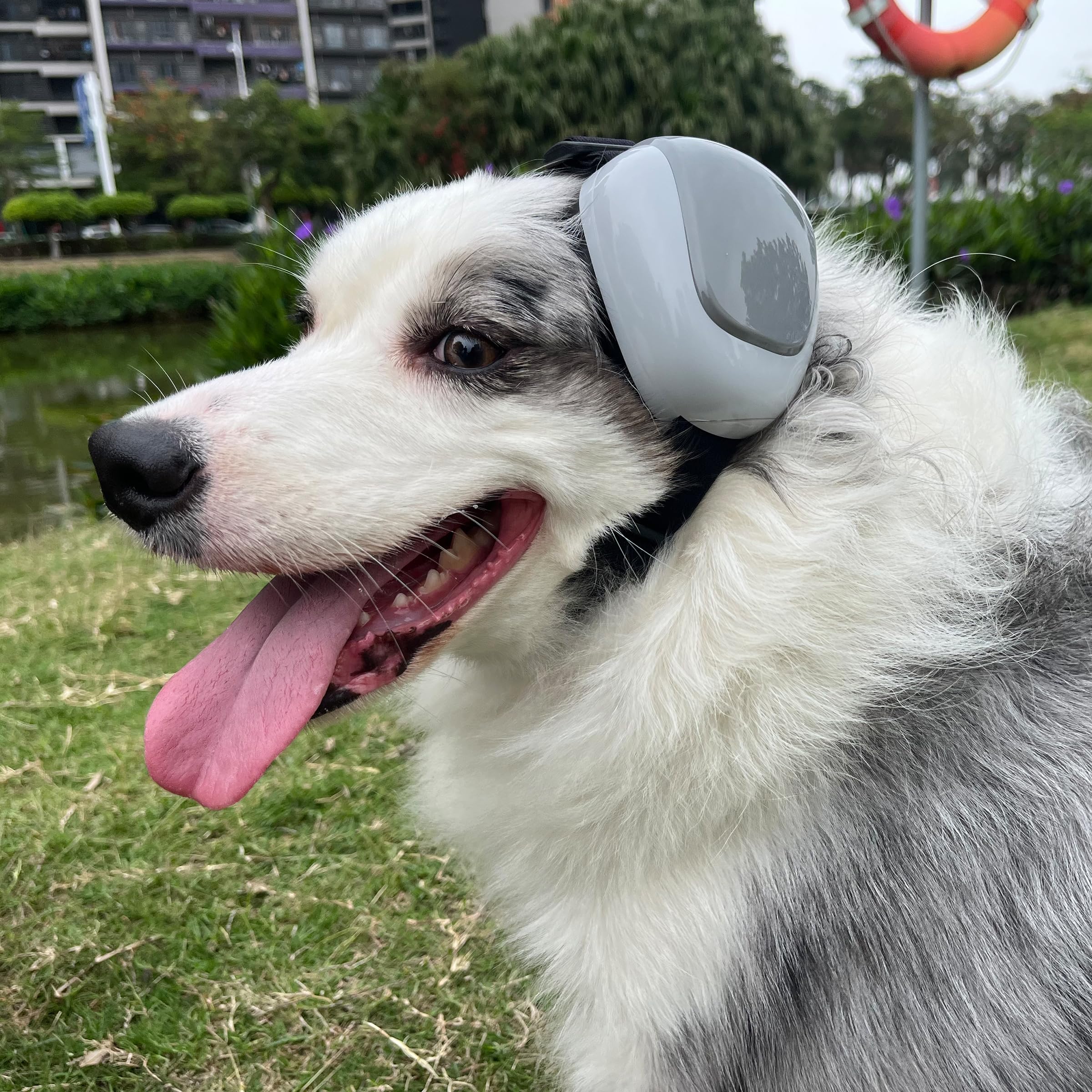 derYEP Dog Earmuffs GEN2 strap adjustment ensures secure fit for active dogs.