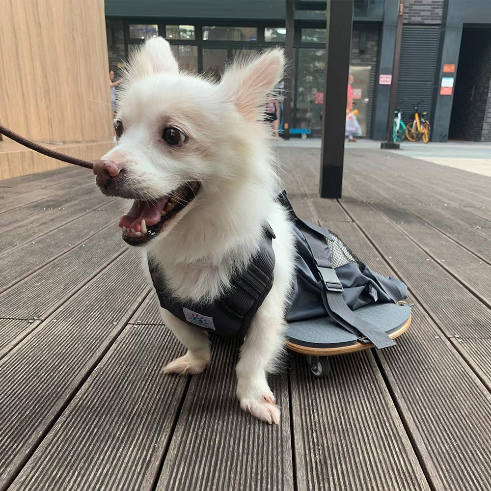 DerYEP comfort design keeps pets cool with breathable mesh.