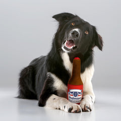 design LAB, Inc. Budweiser dog toy great for fetch and light chewing sessions.