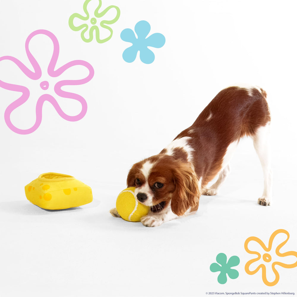 design LAB, Inc. Nesting-toy-demo image conveys safe, interactive play with treats.