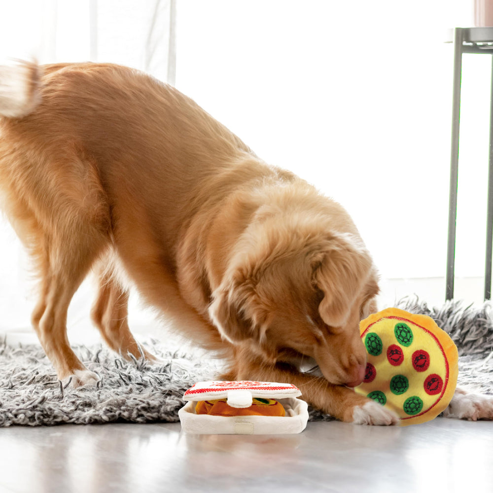 design LAB, Inc. TMNT indoor-play ready dog toy encourages safe fetch and interactive sessions.