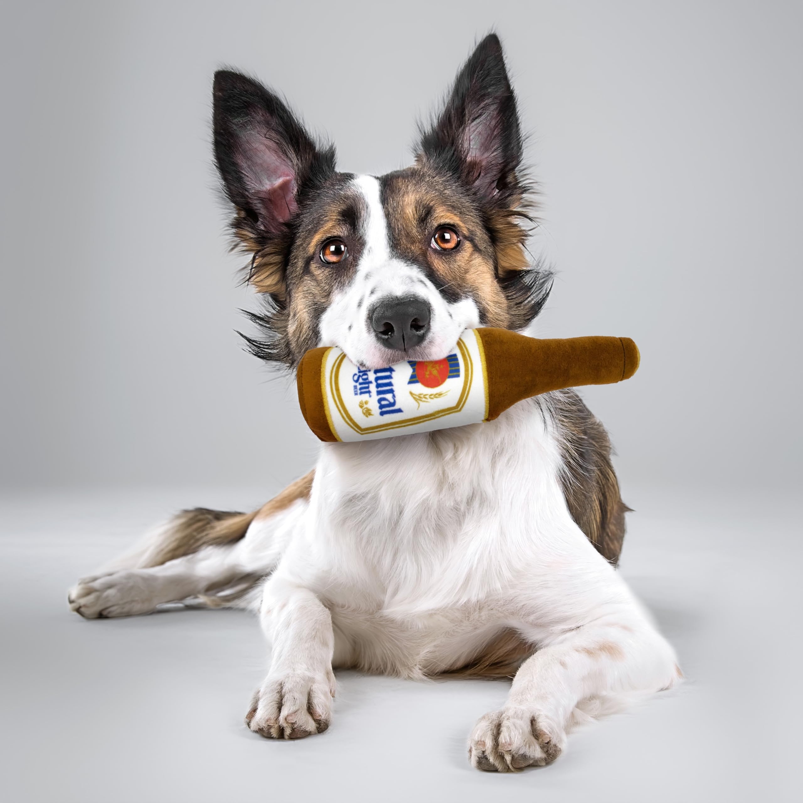 design LAB, Inc. Natural Light beer dog toy for fetch with medium to large dogs