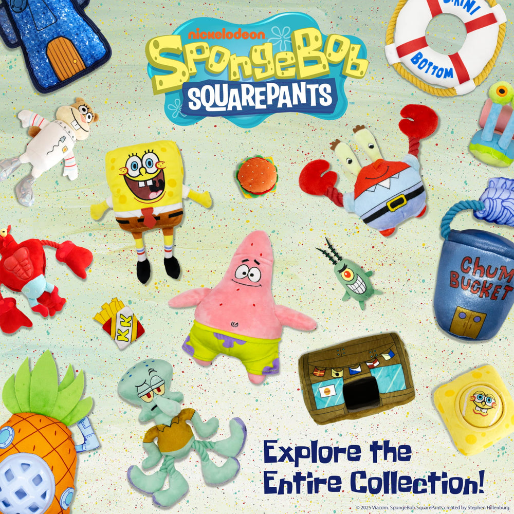 Design Lab Spongebob dog play set ideal gift for SpongeBob fans
