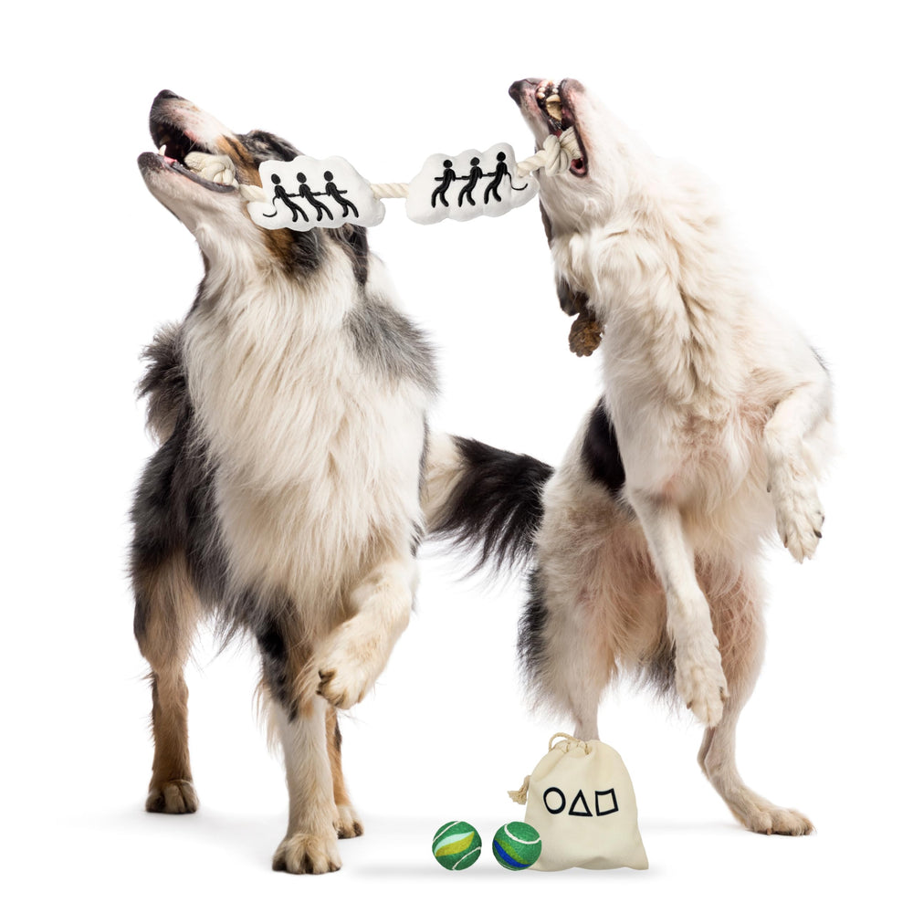 design LAB Squid Game outdoor dog toy collection for active play