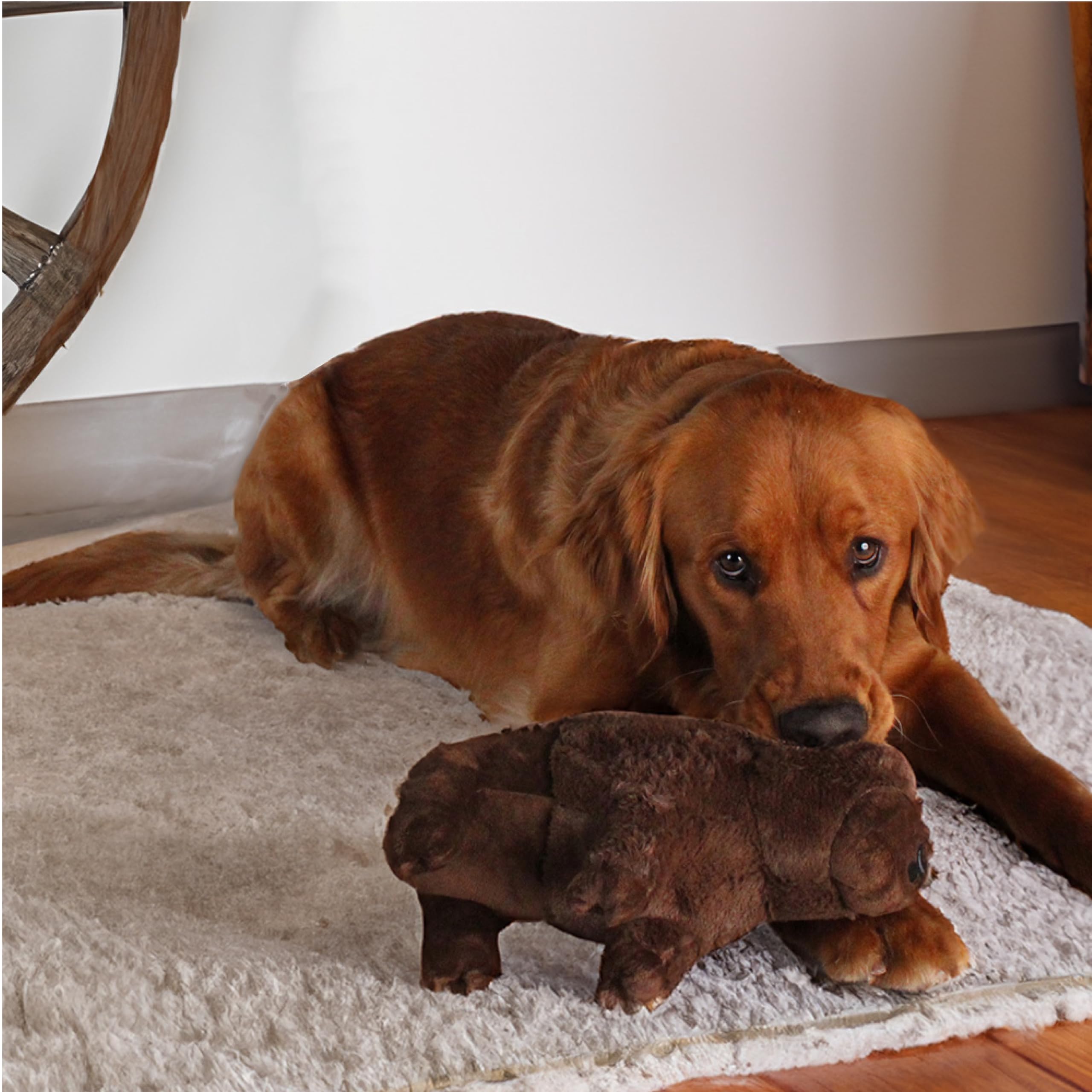 design LAB Yellowstone bison plush toy in action—great for wagging play