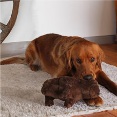 design LAB Yellowstone bison plush toy in action—great for wagging play