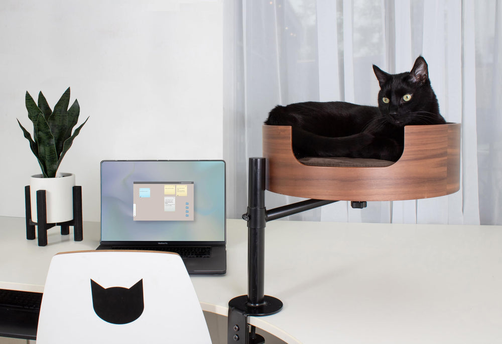 Desk Nest Cat Bed high-perch offers secure, cozy vantage points with a calm view.