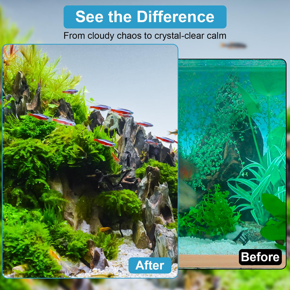 DESUMG auto-timed U-V light enhances water clarity with scheduled cycles.