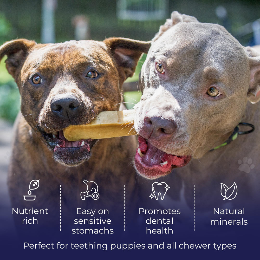 Devil Dog Beasts ideal for large dogs with strong chewing instincts.