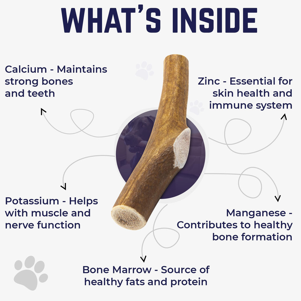 Devil Dog Pet Co elk antler minerals panel shows calcium and zinc for bone support