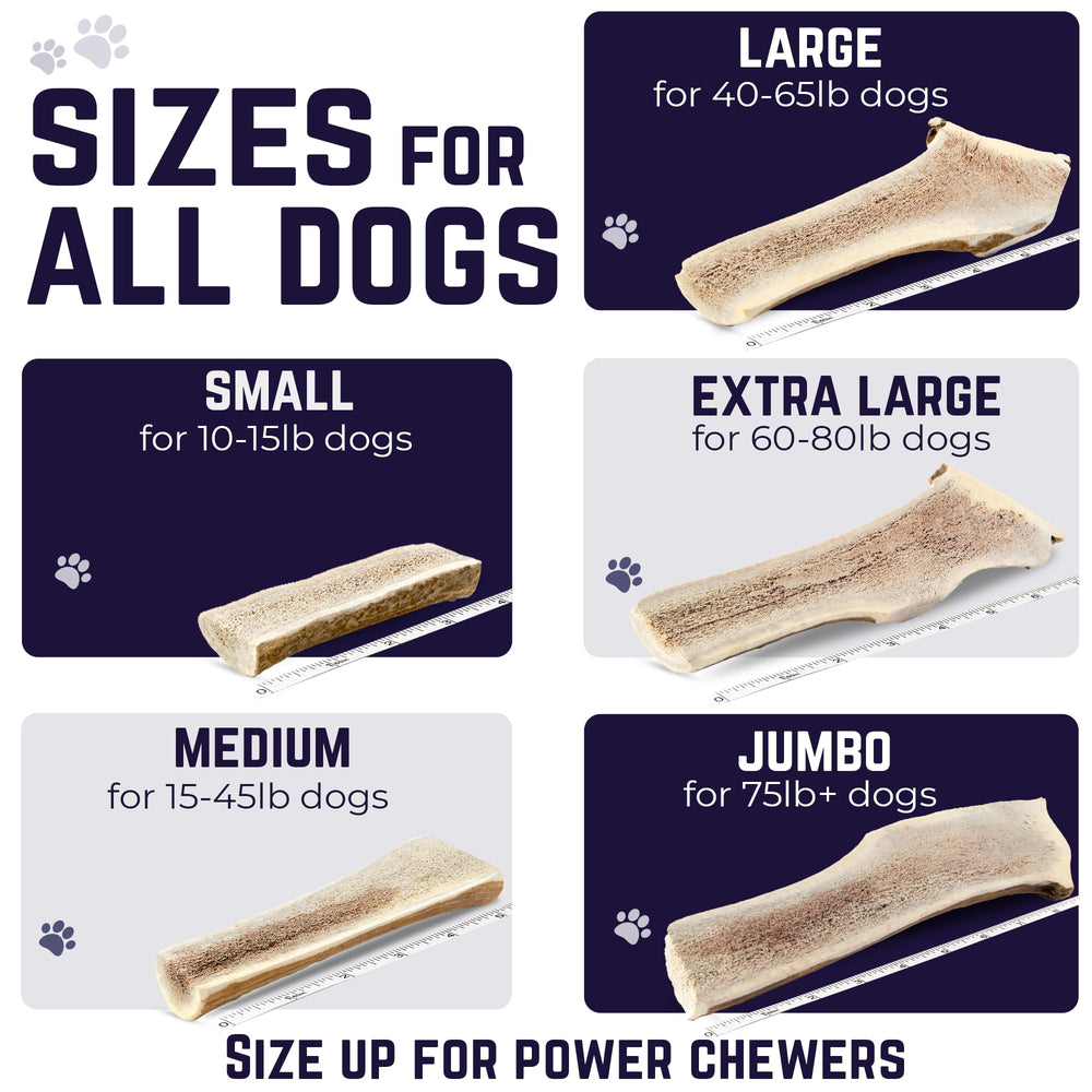 Devil Dog elk antler magnesium zinc for muscle health and immunity